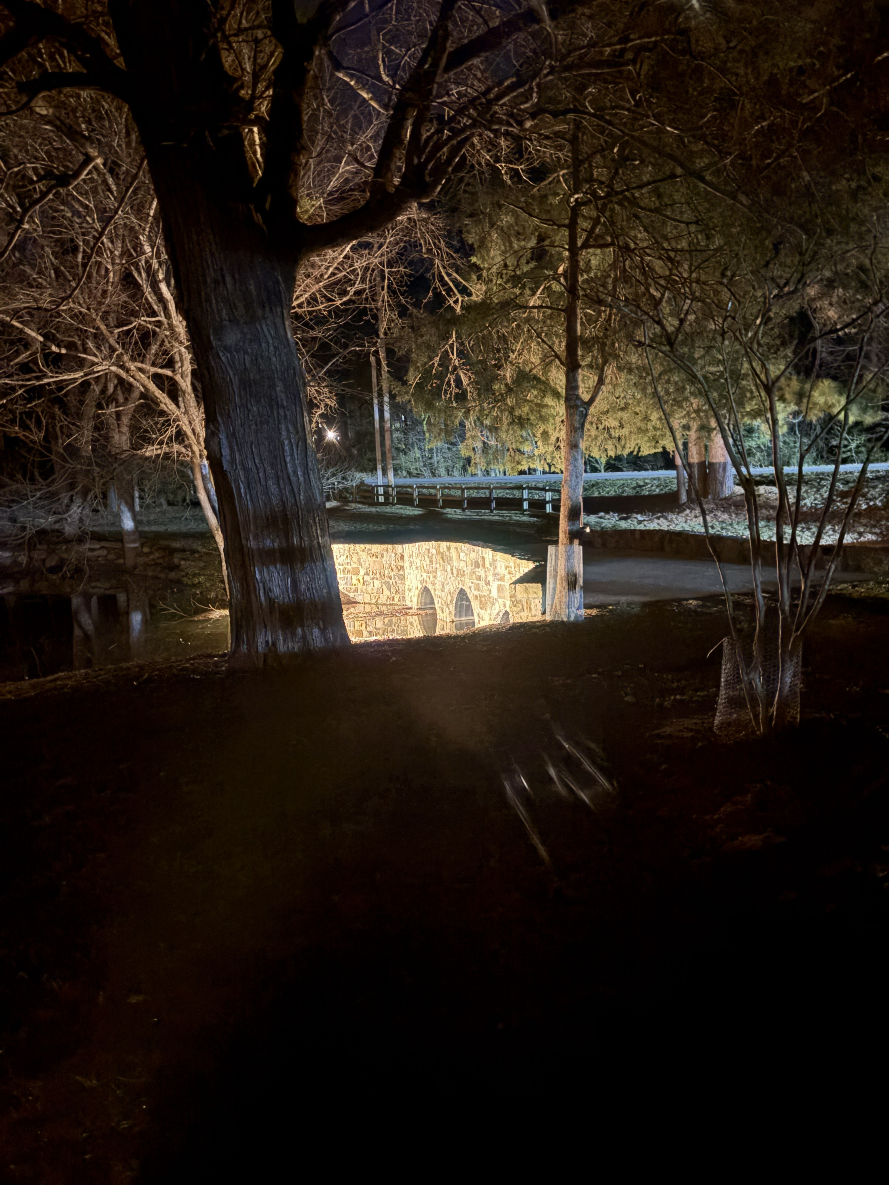 Bridge with lighting